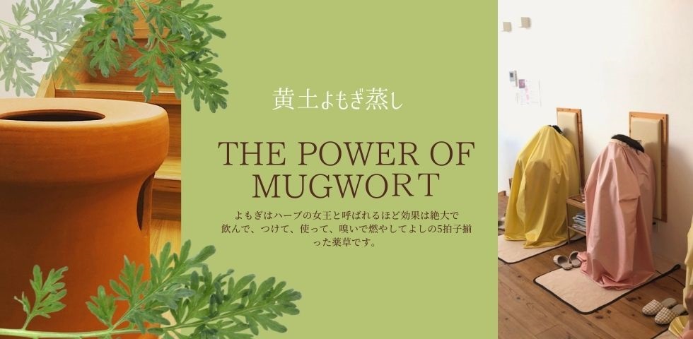 黄土よもぎ蒸し