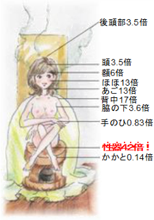 人体説明イラスト